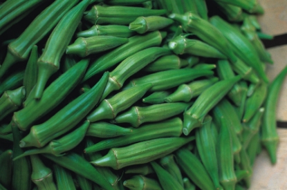 Picture of Okra Clemsons Spineless